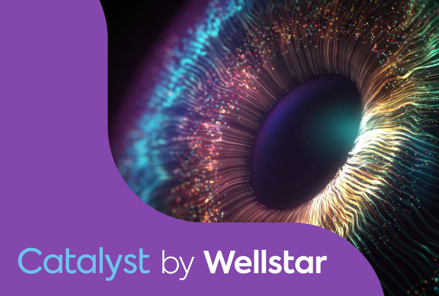 Wellstar Announces First-of-its-Kind Global Digital Health and Innovation Center Catalyst by Wellstar logo