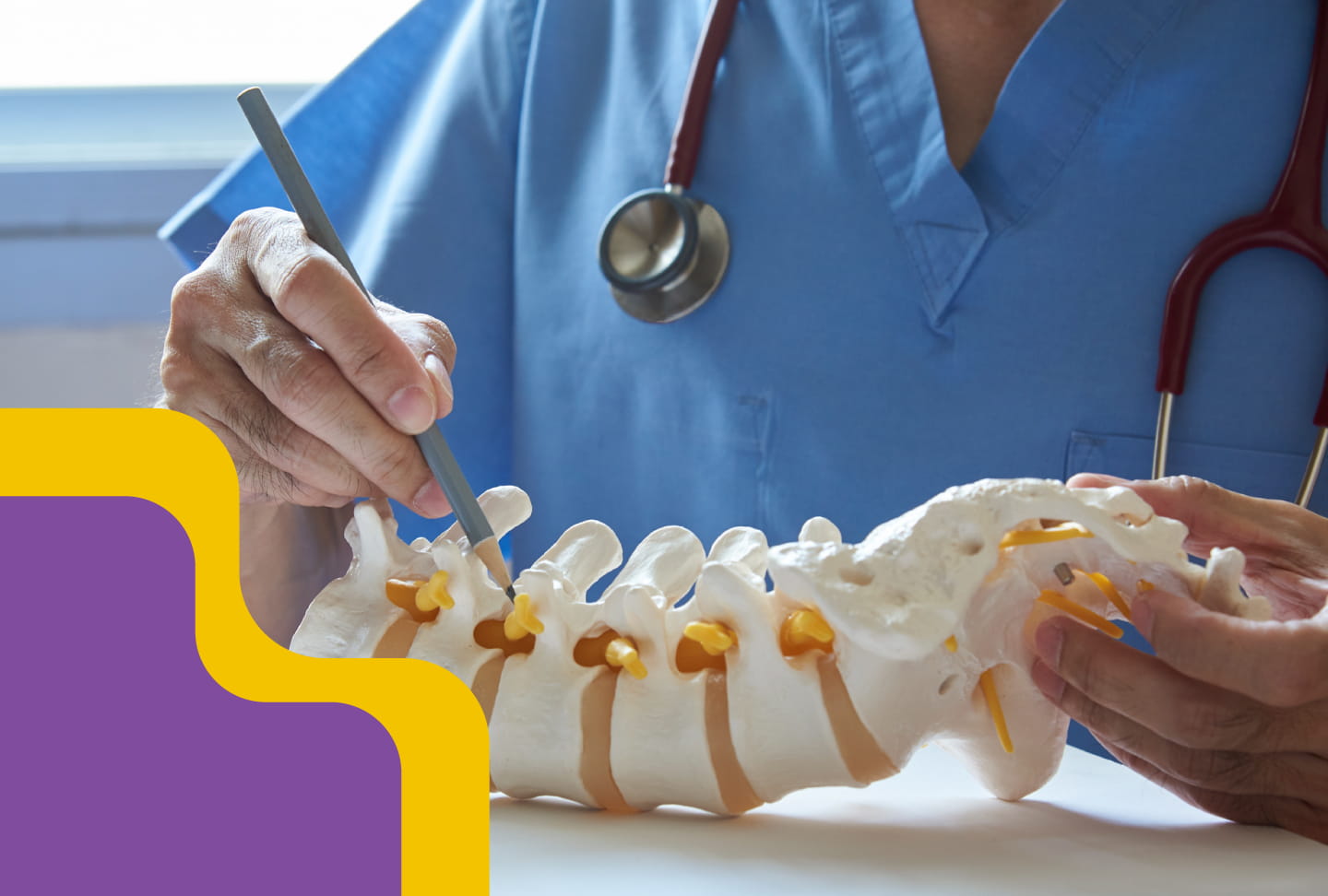Defeating Pain with Successful Spine Surgeries at Wellstar Image of provider looking at spine model