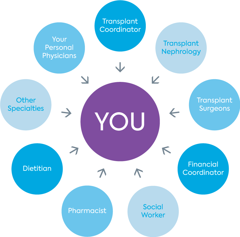 Circular wheel depicts YOU at the center of a number of services to assist you in the transplant process