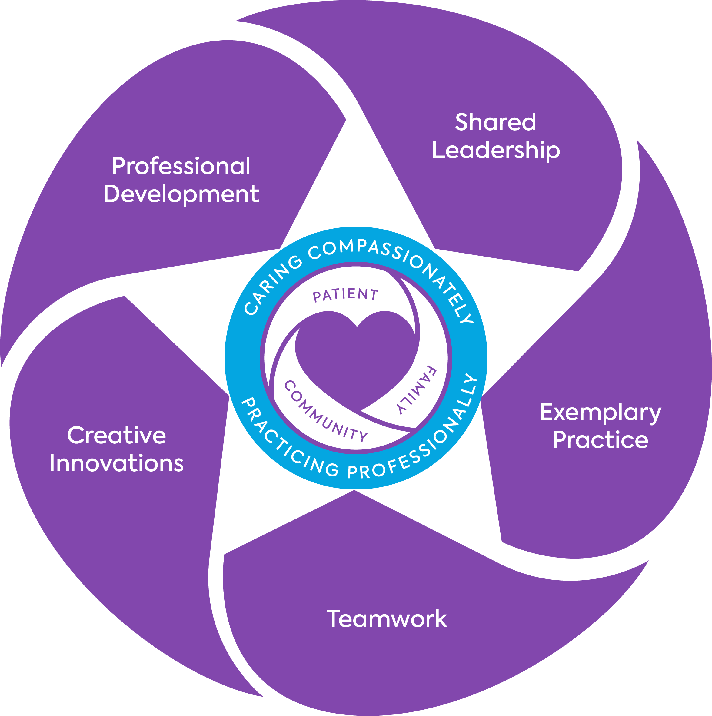 Nursing Professional Practice Model