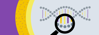 Genetics Wellstar Pediatric Genetics Illustration