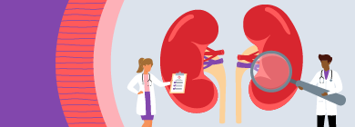 Wellstar Pediatric Nephrology Illustration